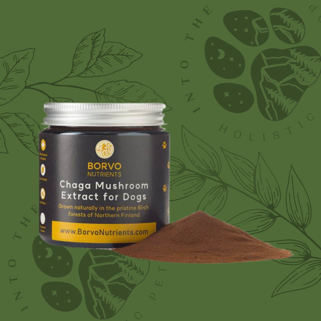 Finland Grown Birch Tree Chaga Mushroom Extract for Dogs INTO THE WILD